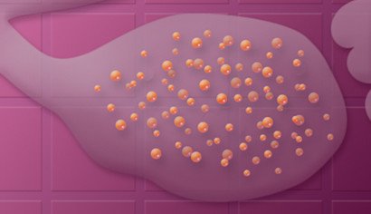 LH OVULATION