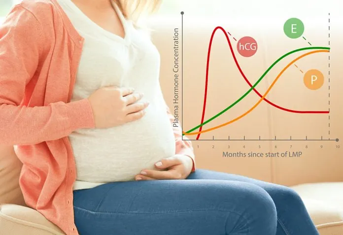 hCG pregnancy rapid test cassettes